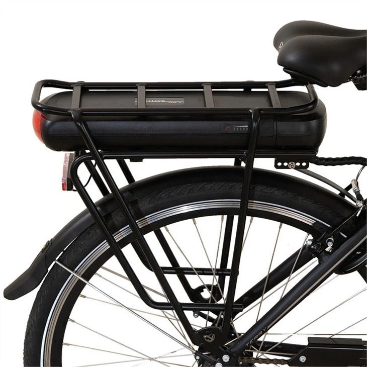 low price Electric City Bike